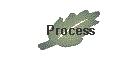 Process