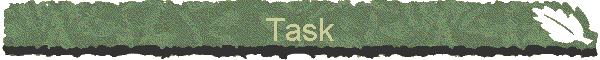 Task